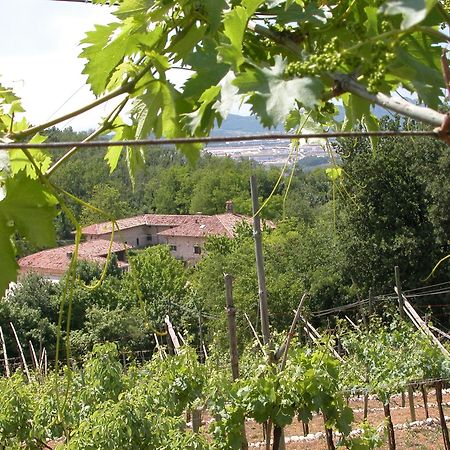 Agriturismo Ca' Verde SantʼAmbrogio di Valpolicella Exteriér fotografie