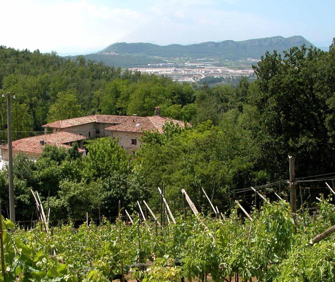 Agriturismo Ca' Verde SantʼAmbrogio di Valpolicella Exteriér fotografie