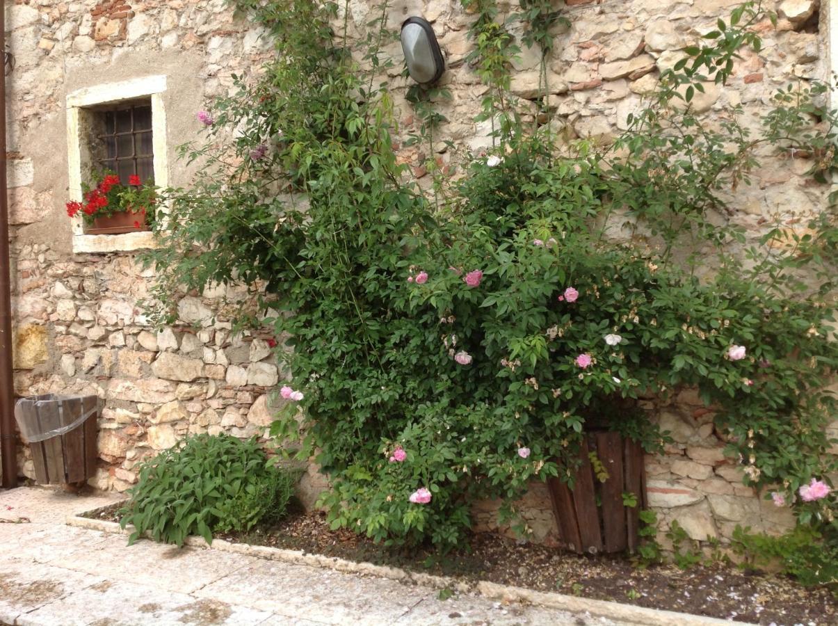 Agriturismo Ca' Verde SantʼAmbrogio di Valpolicella Exteriér fotografie